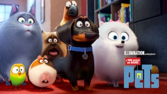 La vida secreta de tus mascotas