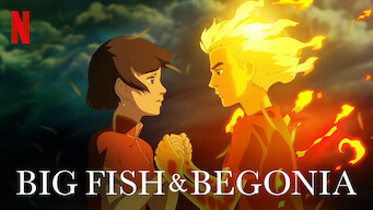 Grandes peces y begonia