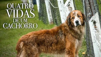 La razón de estar contigo