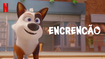 Un perro llamado Trouble