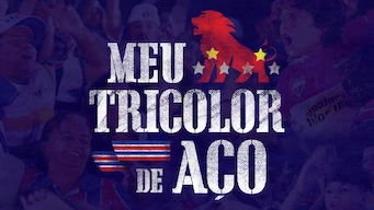 Mi Tricolor de Acero