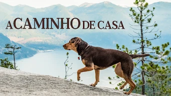 Un viaje enérgico