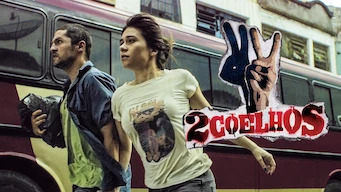 2 coelhos