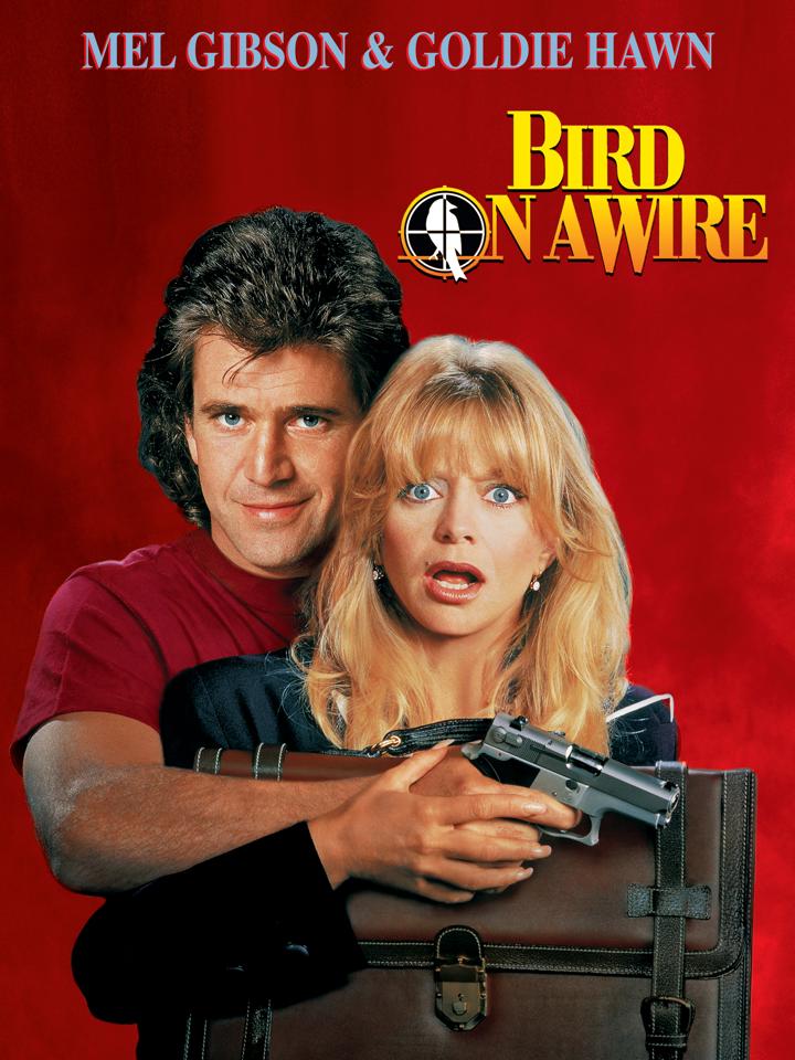 Pájaro en la cuerda