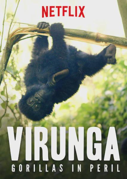 Virunga: Gorilas en peligro