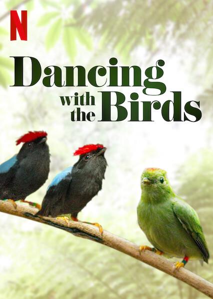 Bailando con las aves