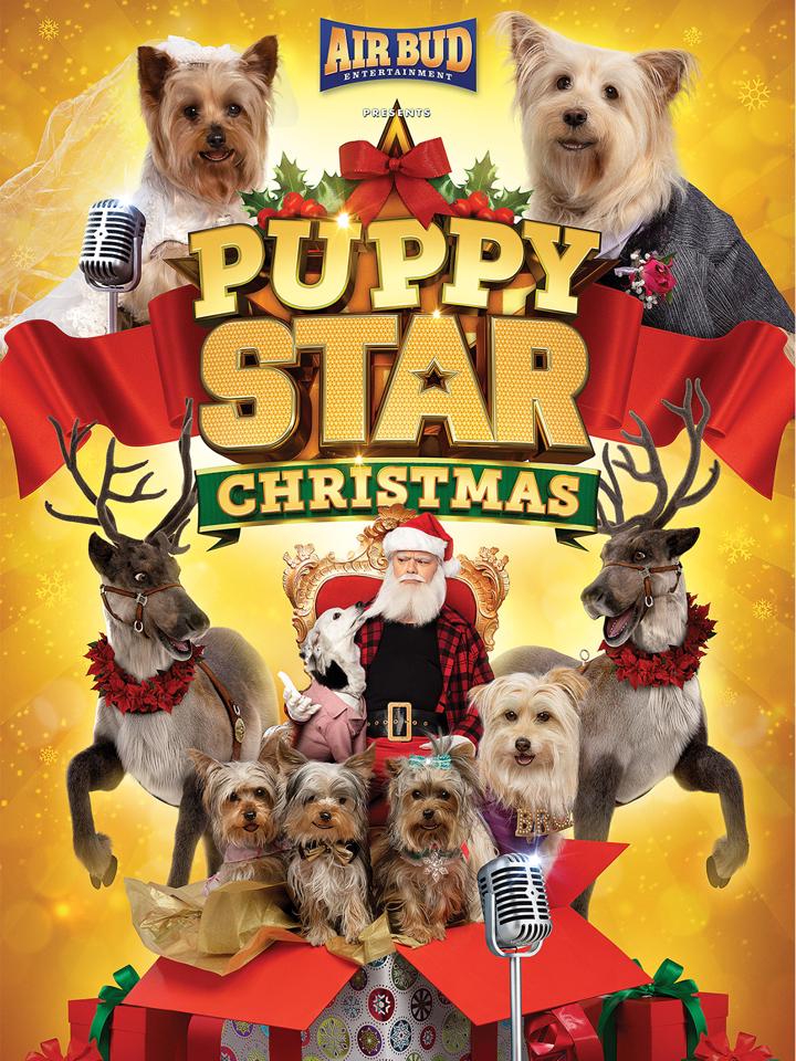 Navidad de estrellas mascotas