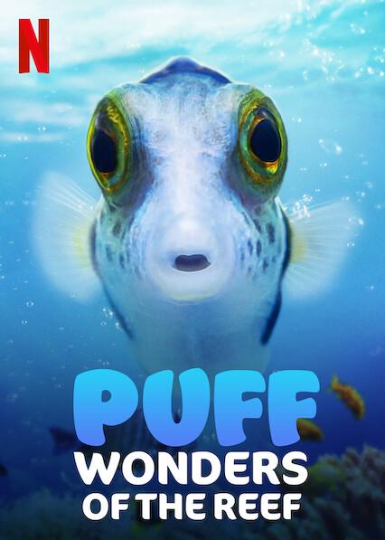 Puff: Maravillas del arrecife