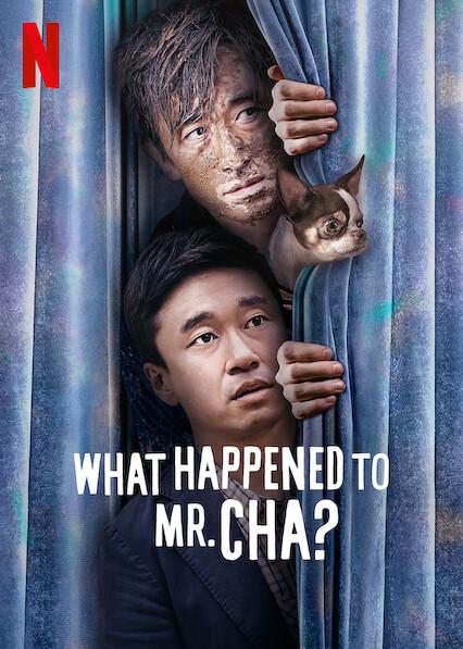 ¿Qué pasó con Mr. Cha?