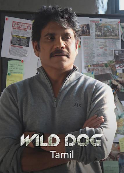 Perro salvaje