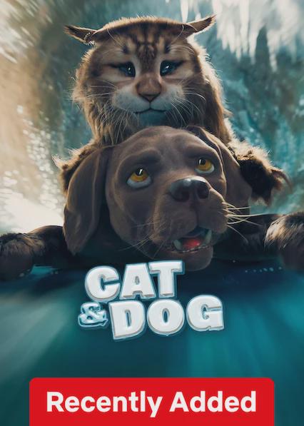Gato y perro