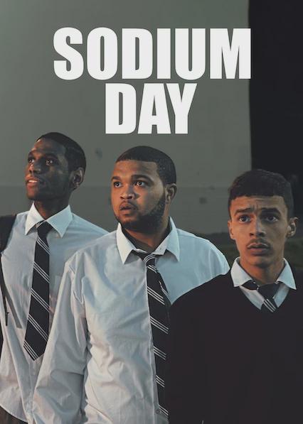 Día de Sodio