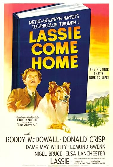 Lassie vuelve a casa