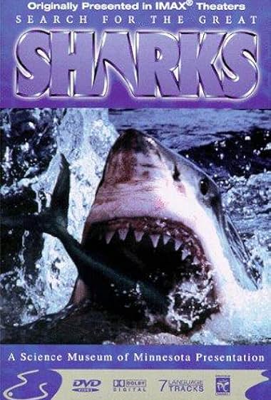 Búsqueda de los grandes tiburones
