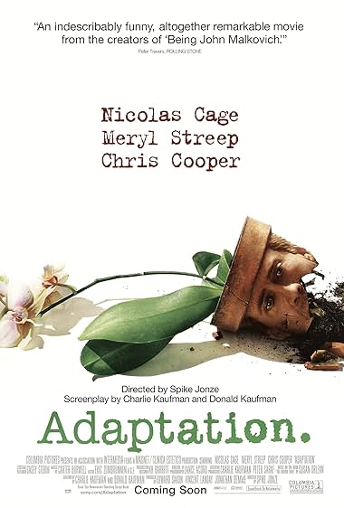 Adaptación